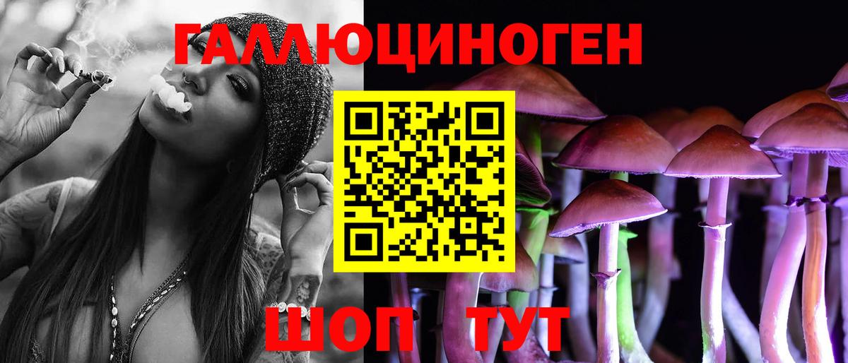 Псилоцибиновые грибы мицелий Благовещенск